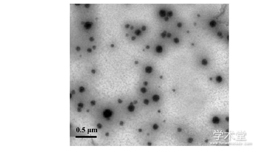1 IMC΢΢齺 (n=3) Tab.1 The characterization of IMC submicron emulsion and submicron emulsion gel (n=3)