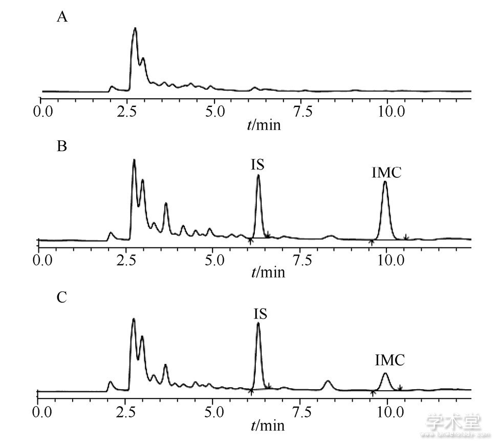 ͼ3 ЧҺɫͼFig.3 HPLC chromatograms