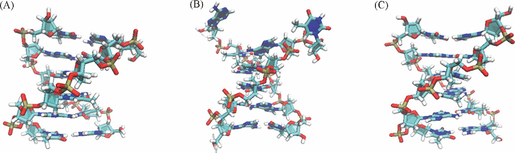  Selected structures near the global minimum of the PMFs for the hexamer sequence