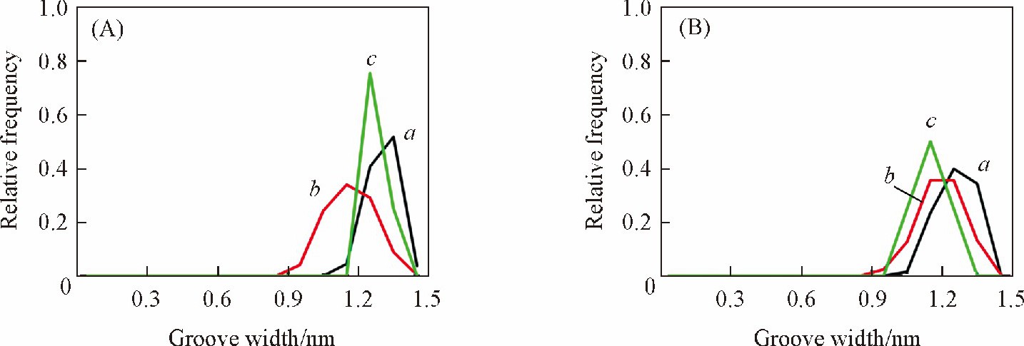 Populations of major-groove widths computed over the 10 ns equilibrium simulation